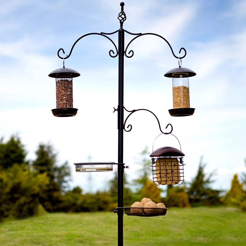 Tom Chambers - Classic Bird Station 3 Tom Chambers - Classic Bird Station