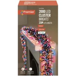 Rainbow Colours LED Clusterbrights With Timer -Garden Gold Store clusterbrights rainbowi 2000 web