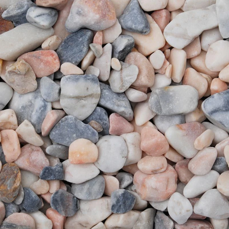 Garden Gold Store 15 Garden Gold Store -Garden Gold Store flamingo pebbles wet web