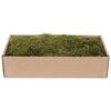 My Village - Green-Brown Flat Moss 500g - Landscape Accessory -Garden Gold Store myd73 flat moss green brown web