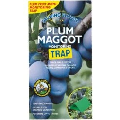 Growing Success - Plum Maggot Monitoring Trap