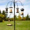 Tom Chambers - Select Bird Station -Garden Gold Store select station web