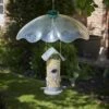 Tom Chambers - Squirrel Baffle -Garden Gold Store squirrel baffle web