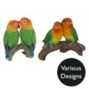 Vivid Arts Real Life Birds - Exotic Bird Garden Ornament -Garden Gold Store vivid arts exotic birds mix web