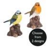 Vivid Arts Garden Friends - Singing Bird Garden Ornament -Garden Gold Store vivid arts garden friends singing birds mix web