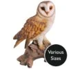 Vivid Arts Real Life Owls - Barn Owl Garden Ornament -Garden Gold Store vivid arts real life barn owl mix web