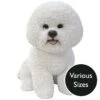 Vivid Arts Real Life Dogs - Bichon Frise Garden Ornament -Garden Gold Store vivid arts real life bichon frise mix web 1