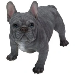 Vivid Arts Real Life Dogs - French Bulldog Garden Ornament -Garden Gold Store vivid arts real life blue french bulldog large web