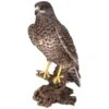 Vivid Arts Real Life Birds - Common Buzzard Garden Ornament -Garden Gold Store vivid arts real life common buzzard web