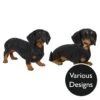 Vivid Arts Real Life Dogs - Dachshund Garden Ornament -Garden Gold Store vivid arts real life dachshund mix web