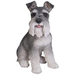 Vivid Arts Real Life Dogs - Miniature Schnauzer Garden Ornament -Garden Gold Store vivid arts real life miniature schnauzer medium web