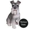 Vivid Arts Real Life Dogs - Miniature Schnauzer Garden Ornament -Garden Gold Store vivid arts real life miniature schnauzer mix web