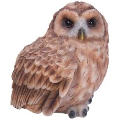 Vivid Arts Real Life Owls - Owl Garden Ornament 9 Vivid Arts Real Life Owls - Owl Garden Ornament -Garden Gold Store vivid arts real life owl tawny owl web