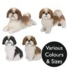 Vivid Arts Real Life Dogs - Shih Tzu Garden Ornament