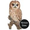 Vivid Arts Real Life Owls - Tawny Owl Garden Ornament -Garden Gold Store vivid arts real life tawny owl mix web