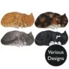 Vivid Arts Real Life Cats - Sleeping Cat Garden Ornament -Garden Gold Store vivid arts sleeping cats mix web