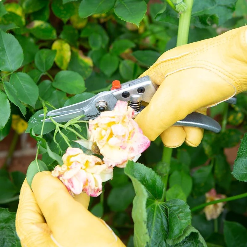 Wilkinson Sword - Razorcut Comfort Pruning Snips 4 Wilkinson Sword - Razorcut Comfort Pruning Snips - Image 2